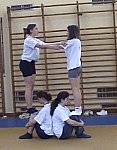 acro501.jpg