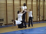 acro509.jpg