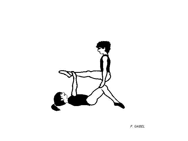 02acro2d.gif