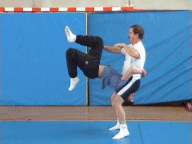 l003.gif