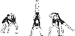 divers10.gif