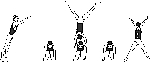 divers11.gif