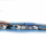 l027.gif